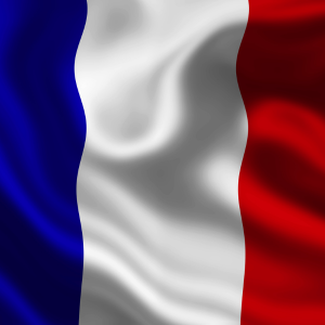 France Flag